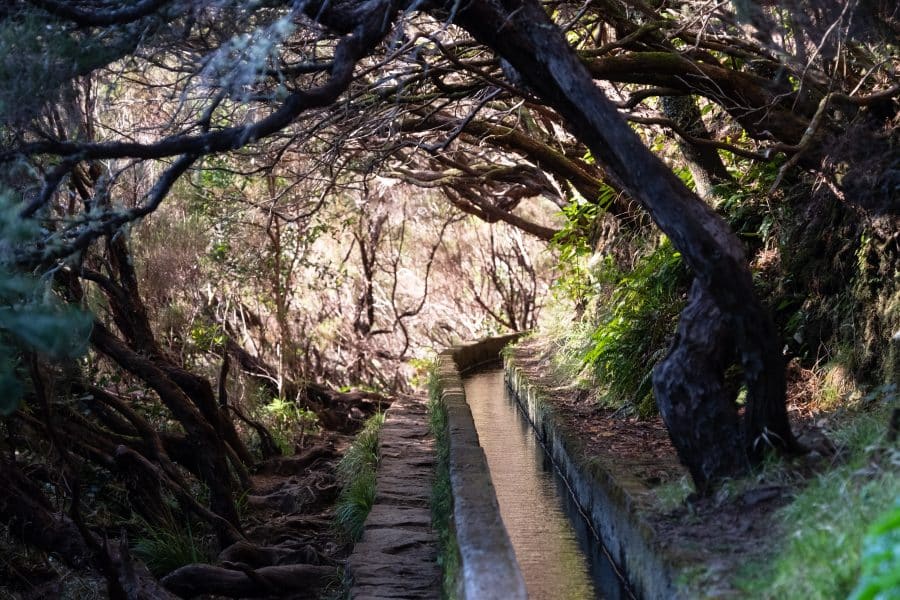 Levadas - Madeira