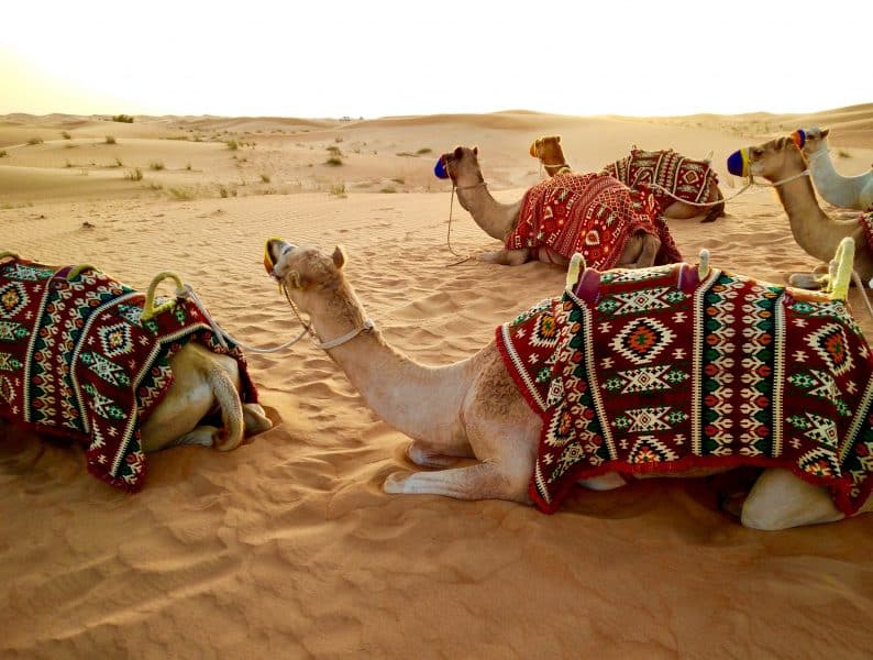 escursioni nel deserto da Dubai