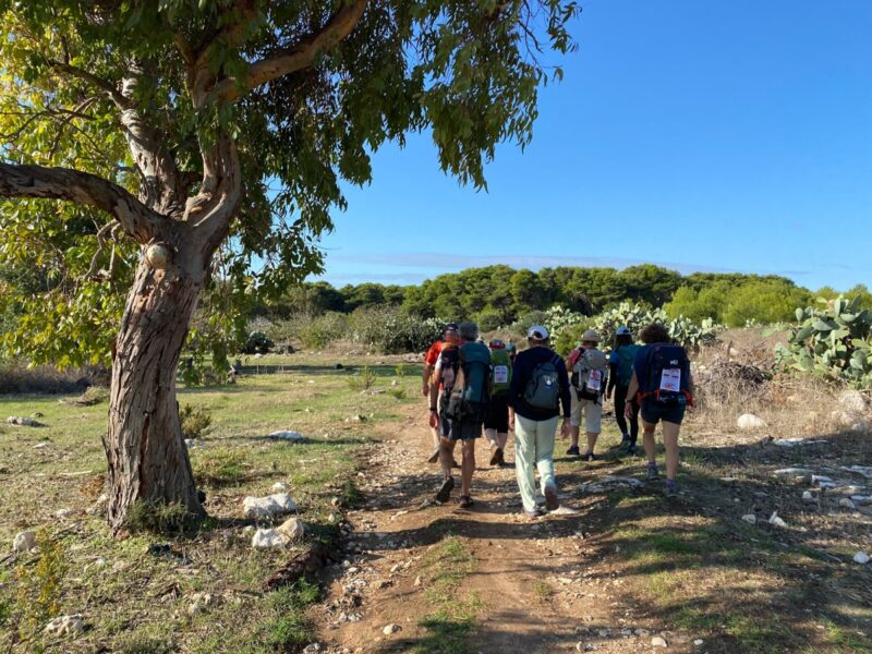 Via Francigena del sud