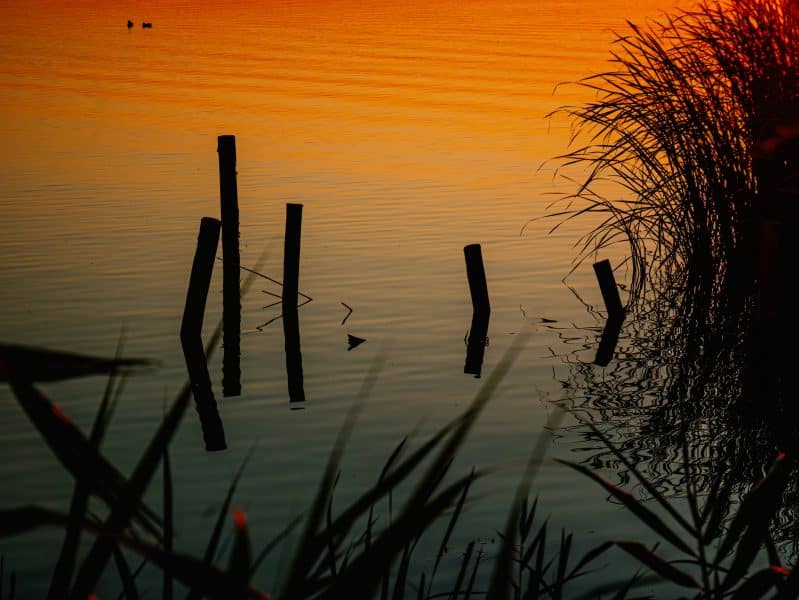 Laguna di Albufera