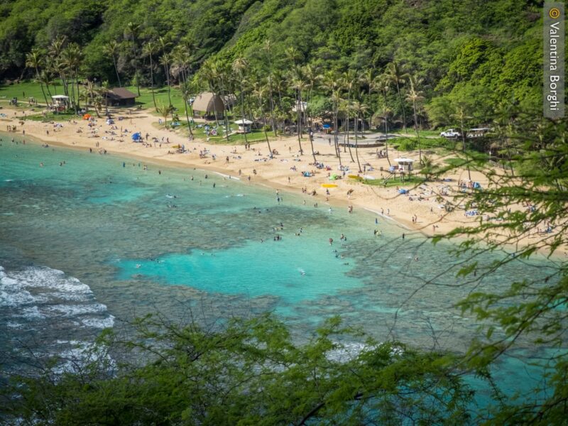 Viaggio alle Hawaii: spiaggia di Oahu