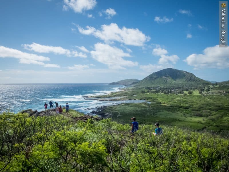 Makapuu Lighthouse Trail