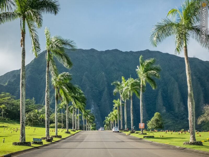 Viaggio alle Hawaii
