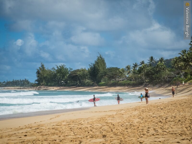 North Shore - Oahu - Hawaii