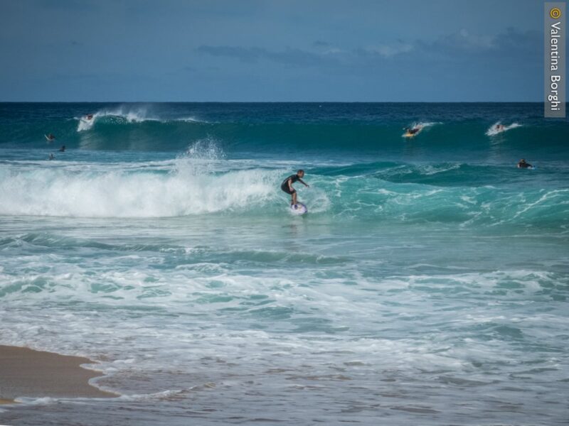 Oahu - North Shore