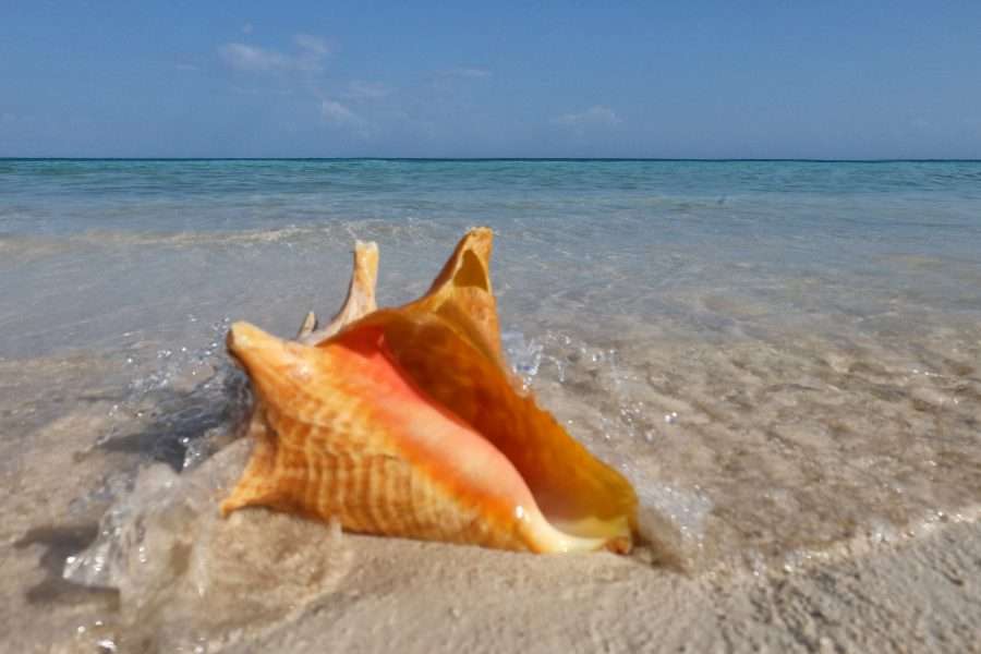 Isla Mucura - Colombia