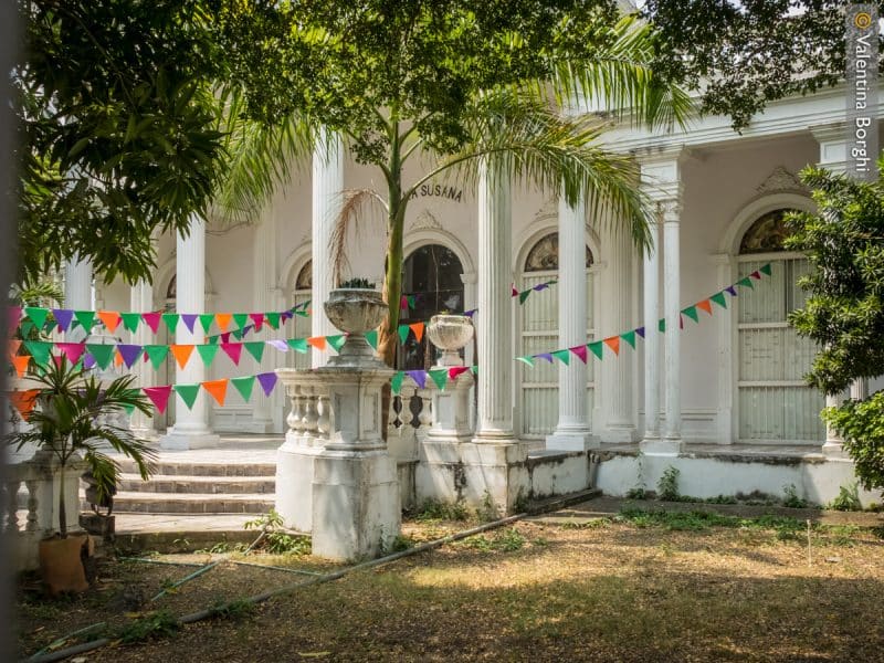 Manga - Cartagena
