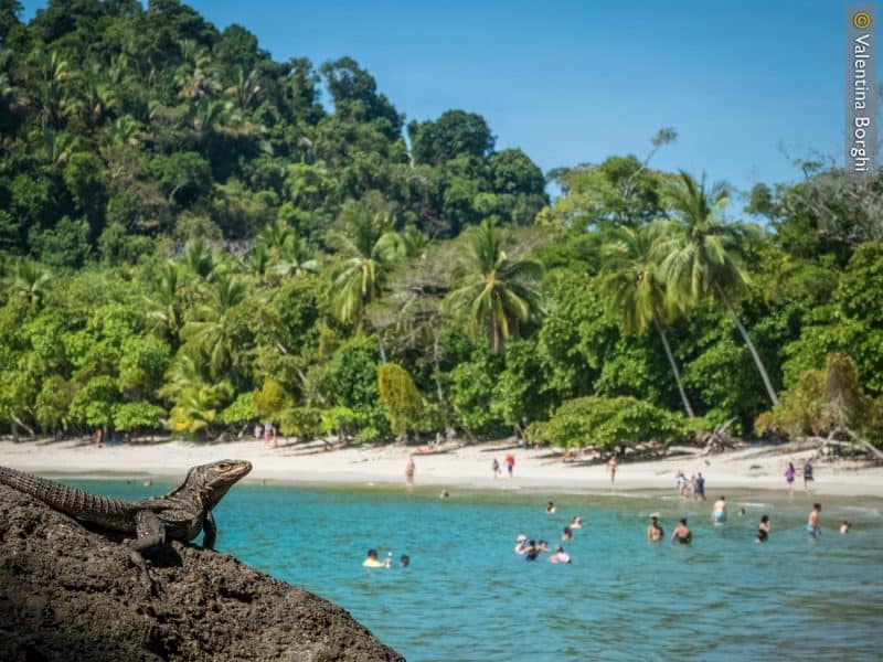 Manuel Antonio - Costa Rica