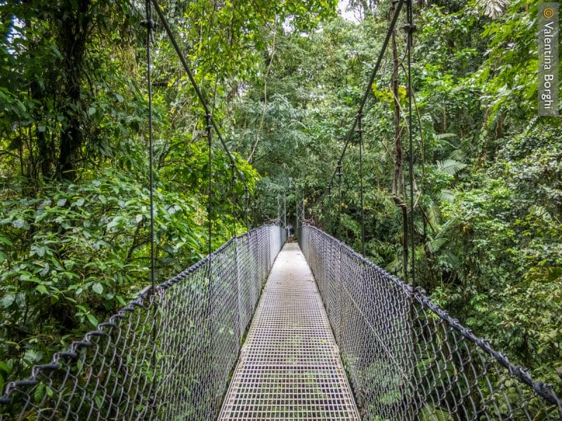 Parque Mistico - La Fortuna