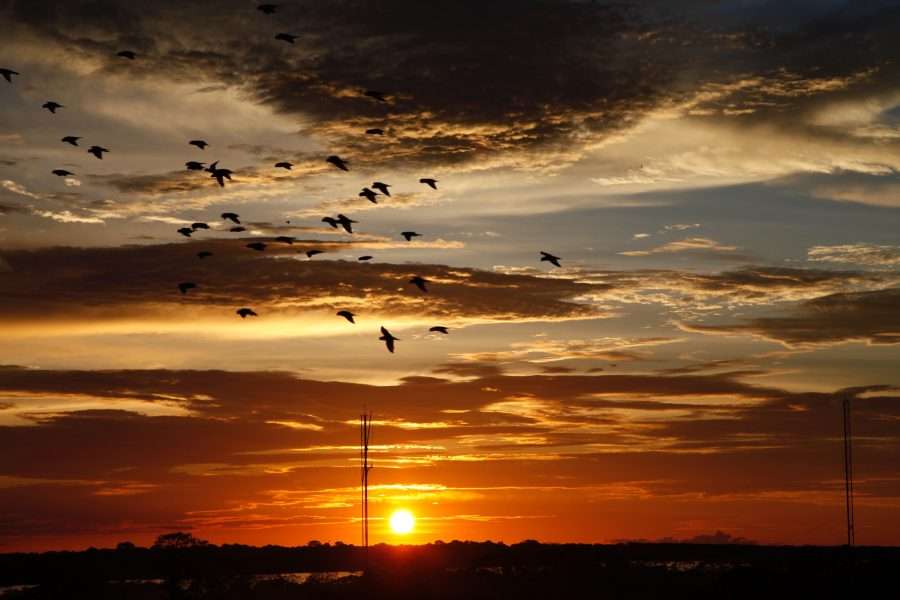 tramonto amazzonia- colombia