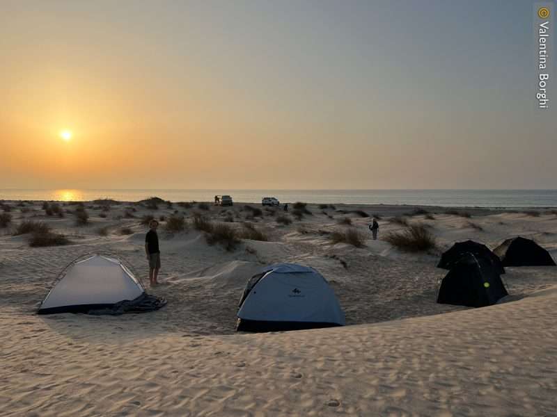 Sugar Dunes - Oman