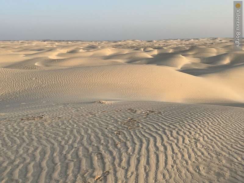 Sugar Dunes - Oman
