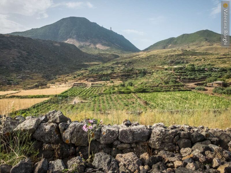 Valle Ghirlanda