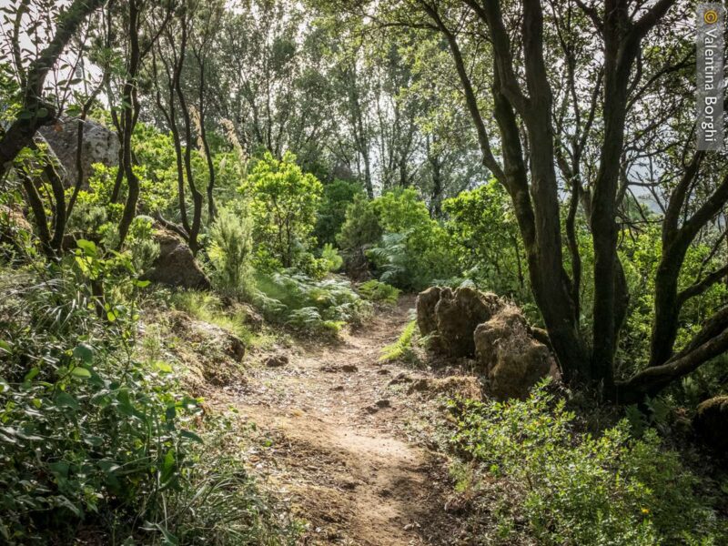 Montagna Grande - Pantelleria