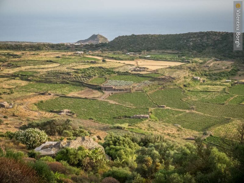 Valle del Monastero