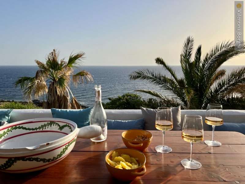 degustazione di vini