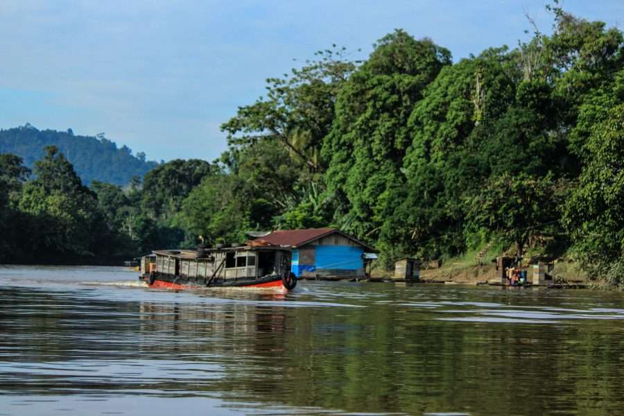 Kalimantan - Borneo