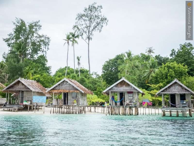 guesthouse a Raja Ampat