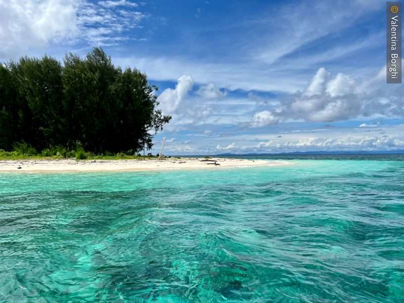 Bat Island - Raja Ampat