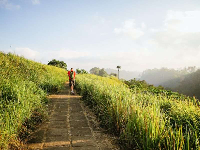 Campuhan Ridge Walk - Ubud