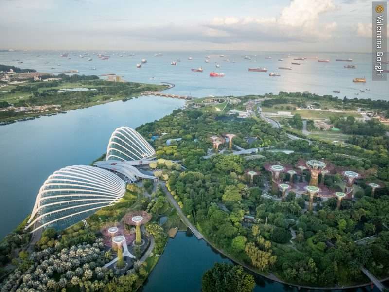 Gardens by the Bay - Singapore