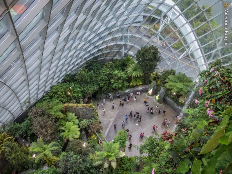 Cloud Forest - Singapore